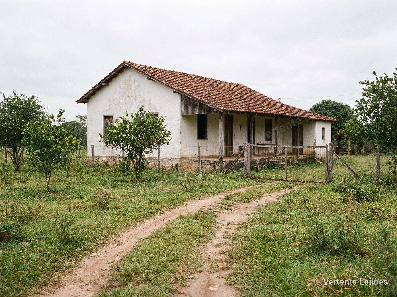 Sítio 3,2 hectares, com sede e pomar