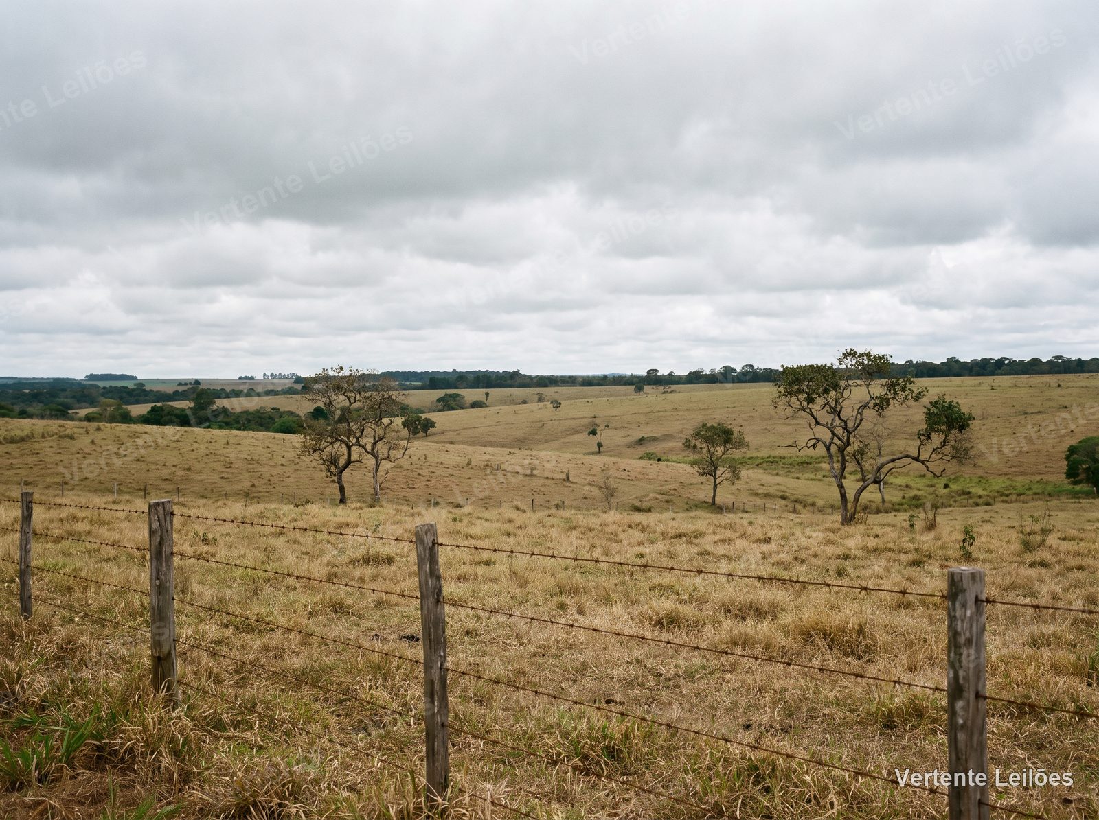 Área rural 18 hectares, sem benfeitorias